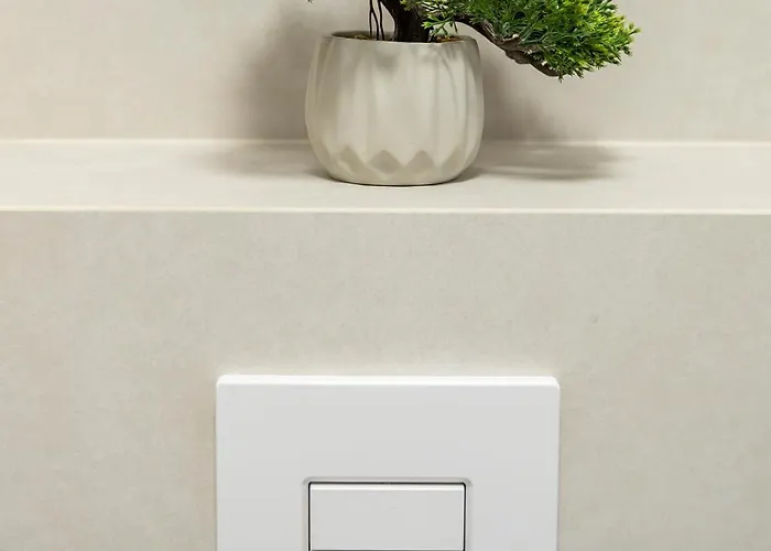 Oasis Strzelecka 57 * Bydgoszcz